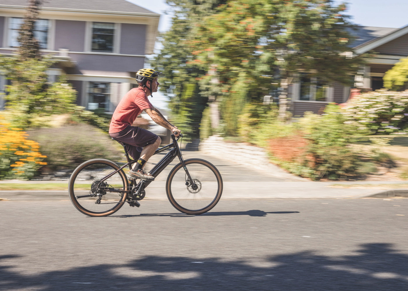 Electric Bike Rentals