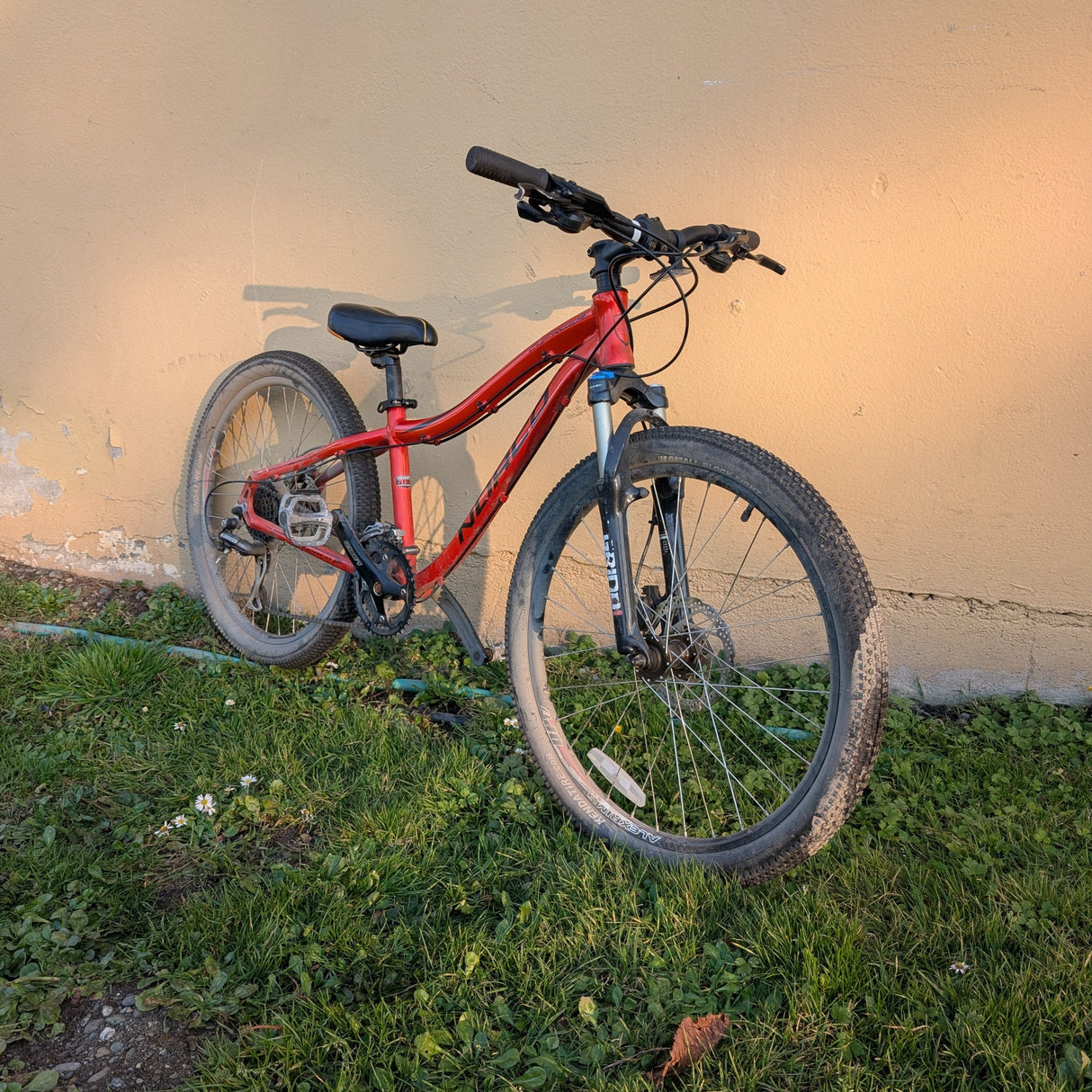 Norco Charger 24" (2015)