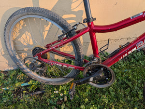 Raleigh Scout XC 24" (2014)