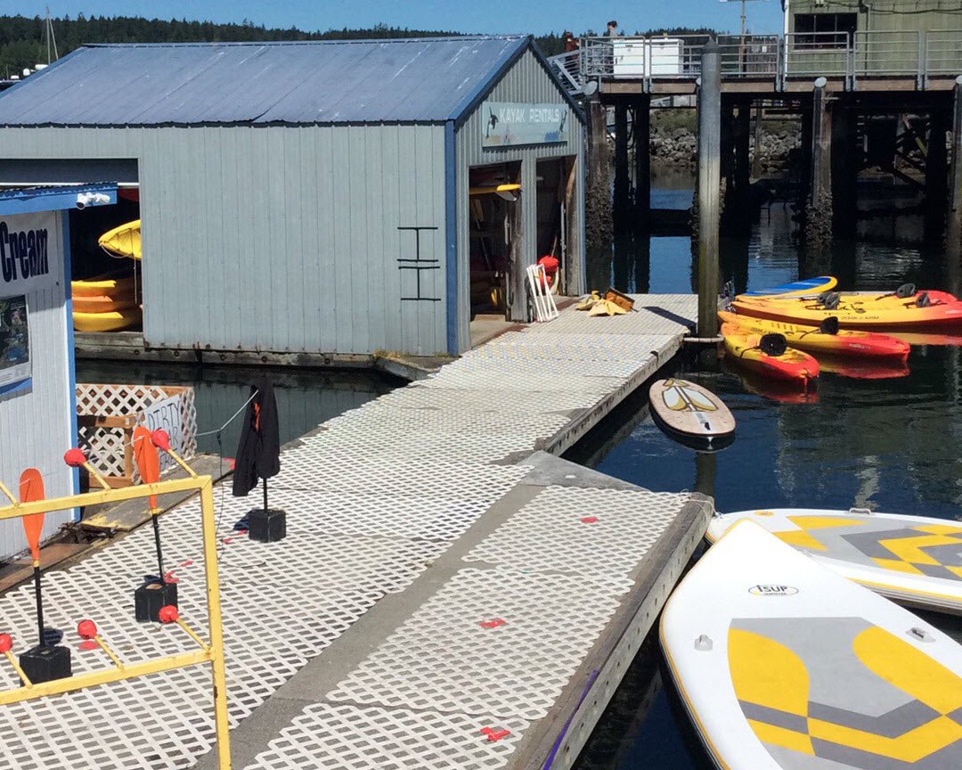 Wildlife Kayak Tour - Poulsbo, Washington