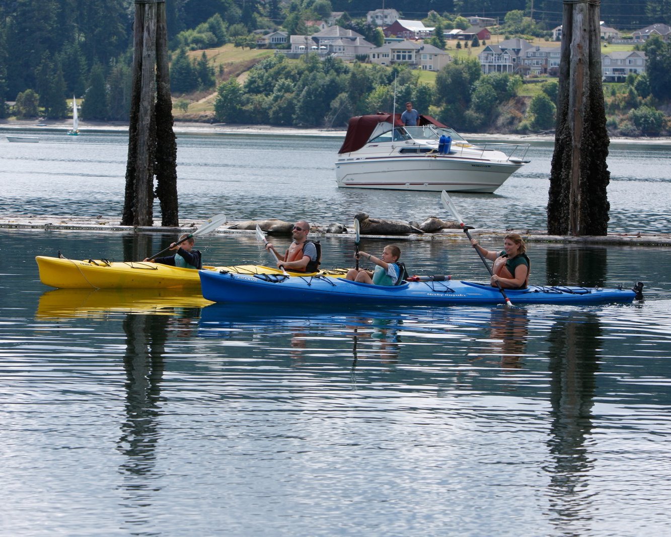 Wildlife Kayak Tour - Poulsbo, Washington