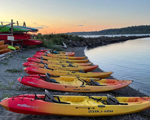 Tour en kayak de luna llena y bioluminiscencia - Port Gamble, Washington