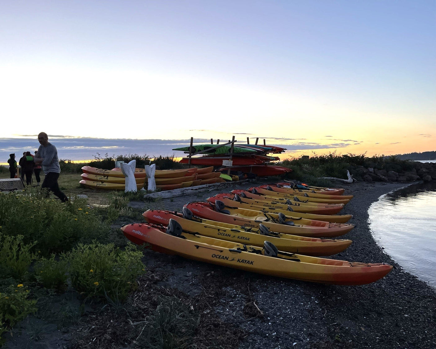 Tour en kayak por bioluminiscencia - Port Gamble, Washington