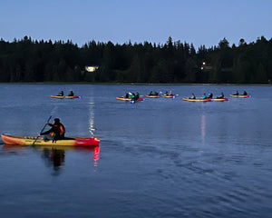 Tour en kayak por bioluminiscencia - Port Gamble, Washington