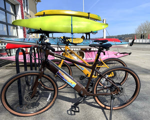 E-Bike Electric Bike Tour - Port Gamble