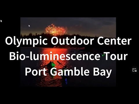 bioluminescent bay youtube