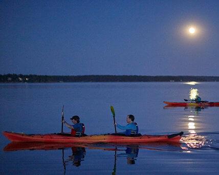 Tour en kayak de luna llena y bioluminiscencia - Port Gamble, Washington