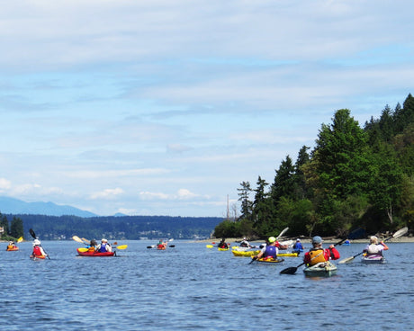 Kitsap Peninsula Water Trails Festival - Ride the Tide in Port Washington Narrows